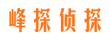 和林格尔市调查公司